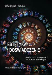 Estetyka i doświadczenie. Autor: Katarzyna Lisiecka (red.). Dobreksiazki.pl Okładka książki Estetyka i doświadczenie