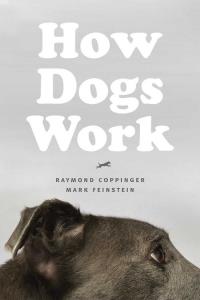 How Dogs Work. Autor: Coppinger Raymond. Dobreksiazki.pl Okładka książki How Dogs Work