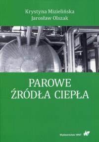 Parowe źródła ciepła. Autor: Mizielińska Krystyna, Olszak Jarosław. Dobreksiazki.pl Okładka książki Parowe źródła ciepła