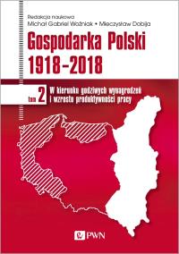 GOSPODARKA POLSKI 1918-2018 W KIERUNKU GODZIWYCH WYNAGRODZEŃ I WZROSTU PRODUKTYWNOŚCI PRACY TOM 2. Autor: Redakcja naukowa: Michał Gabriel Woźniak, Dobija Mieczysław. Dobreksiazki.pl Okładka książki GOSPODARKA POLSKI 1918-2018 W KIERUNKU GODZIWYCH WYNAGRODZEŃ I WZROSTU PRODUKTYWNOŚCI PRACY TOM 2