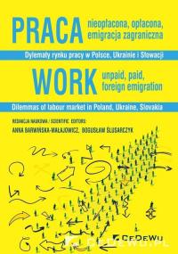 Praca nieopłacona, opłacona, emigracja zagraniczna. Autor: Barwińska-Małajowicz Anna, Ślusarczyk Bogusław L.. Dobreksiazki.pl Okładka książki Praca nieopłacona, opłacona, emigracja zagraniczna