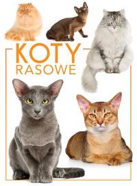 KOTY RASOWE. Autor: Opracowanie zbiorowe. Dobreksiazki.pl Okładka książki KOTY RASOWE