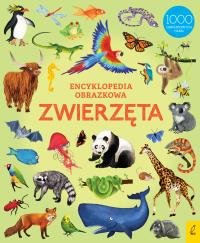 Encyklopedia obrazkowa Zwierzęta. Autor: Opracowanie zbiorowe. Dobreksiazki.pl Okładka książki Encyklopedia obrazkowa Zwierzęta