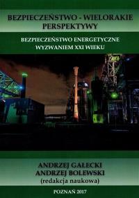 Bezpieczeństwo energetyczne wyzwaniem XXI wieku. Wydawca: Wyższa Szkoła Bezpieczeństwa. Dobreksiazki.pl Opakowanie Bezpieczeństwo energetyczne wyzwaniem XXI wieku