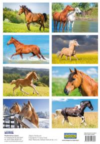 Opakowanie Naklejki Konie