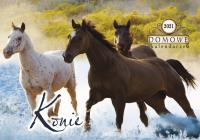 KAL.KONIE 2014 TW-10-06-PRMI. Autor: TW-10-06. Dobreksiazki.pl Okładka książki KAL.KONIE 2014 TW-10-06-PRMI