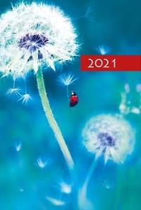 Terminarz 2021 B7 Mały Kolorowy Dmuchawiec. Wydawca: Edycja Świętego Pawła. Dobreksiazki.pl Opakowanie Terminarz 2021 B7 Mały Kolorowy Dmuchawiec