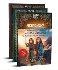 Pakiet filmowy Halvdan Wiking. Puchar wodza, Grób obcego, Wilcze serce.. Autor: Martin Widmark. Dobreksiazki.pl Okładka książki Pakiet filmowy Halvdan Wiking. Puchar wodza, Grób obcego, Wilcze serce.