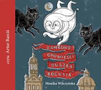 Zamkowe opowieści duszka Bogusia - Audiobook. Autor: Chwilczyńska-Wawrzyniak Monika. Dobreksiazki.pl Okładka książki Zamkowe opowieści duszka Bogusia - Audiobook