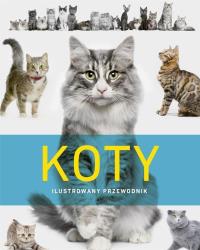 Koty. Ilustrowany przewodnik. Autor: Opracowanie zbiorowe. Dobreksiazki.pl Okładka książki Koty. Ilustrowany przewodnik