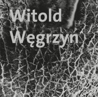 Witold Węgrzyn Nieuchwytna materialność. Autor: Witold Węgrzyn. Dobreksiazki.pl Okładka książki Witold Węgrzyn Nieuchwytna materialność