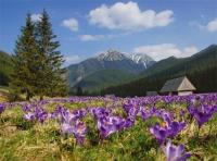 Kalendarz 2021 Tatry trójdzielny RADWAN. Wydawca: AGENCJA WYDAWNICZA RADWAN SP Z O.O.. Dobreksiazki.pl Opakowanie Kalendarz 2021 Tatry trójdzielny RADWAN