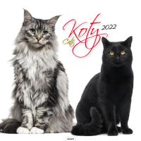 Kalendarz 2022 KD-21 Koty AVANTI. Wydawca: AVANTI. Dobreksiazki.pl Opakowanie Kalendarz 2022 KD-21 Koty AVANTI