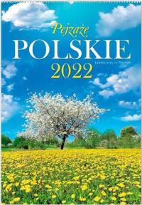 Kalendarz 2022 Reklamowy Pejzaże polskie RW1. Wydawca: Lucrum. Dobreksiazki.pl Opakowanie Kalendarz 2022 Reklamowy Pejzaże polskie RW1