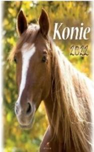 Kalendarz 2022 Ścienny Konie ARTSEZON. Wydawca: Artsezon. Dobreksiazki.pl Opakowanie Kalendarz 2022 Ścienny Konie ARTSEZON