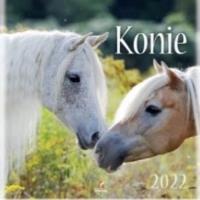 Kalendarz 2022 Ścienny Konie ARTSEZON. Wydawca: Artsezon. Dobreksiazki.pl Opakowanie Kalendarz 2022 Ścienny Konie ARTSEZON