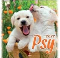 Kalendarz 2022 Ścienny Psy ARTSEZON. Wydawca: Artsezon. Dobreksiazki.pl Opakowanie Kalendarz 2022 Ścienny Psy ARTSEZON