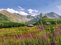 Kalendarz 2022 Trójdzielny Tatry RADWAN. Wydawca: Radwan. Dobreksiazki.pl Opakowanie Kalendarz 2022 Trójdzielny Tatry RADWAN