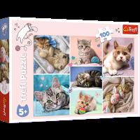 Puzzle 100 W kocim świecie 16420. Wydawca: Trefl PAP. Dobreksiazki.pl Opakowanie Puzzle 100 W kocim świecie 16420