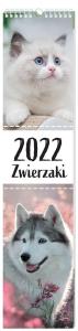 Kalendarz 2022 ścienny 13,5x60 Zwierzaki. Wydawca: INTERDRUK. Dobreksiazki.pl Opakowanie Kalendarz 2022 ścienny 13,5x60 Zwierzaki
