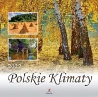 Kalendarz 2022 Ścienny Polskie klimaty ARTSEZON. Wydawca: Artsezon. Dobreksiazki.pl Opakowanie Kalendarz 2022 Ścienny Polskie klimaty ARTSEZON