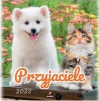 Kalendarz 2022 Ścienny Przyjaciele ARTSEZON. Wydawca: Artsezon. Dobreksiazki.pl Opakowanie Kalendarz 2022 Ścienny Przyjaciele ARTSEZON