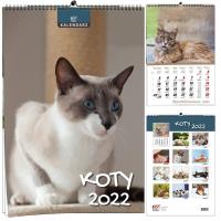 Kalendarz 2022 B3 7 plansz Koty. Wydawca: EV-Corp. Dobreksiazki.pl Opakowanie Kalendarz 2022 B3 7 plansz Koty