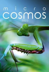 Kalendarz 2022 Wieloplanszowy Micro cosmos CRUX. Wydawca: CRUX. Dobreksiazki.pl Opakowanie Kalendarz 2022 Wieloplanszowy Micro cosmos CRUX