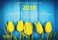 Kalendarz z wersetami biblijnymi BOGULANDIA 2018. Wydawca: Bogulandia. Dobreksiazki.pl Opakowanie Kalendarz z wersetami biblijnymi BOGULANDIA 2018
