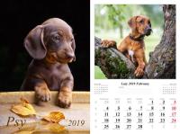 Kalendarz 2019 wieloplanszowy Psy. Autor: Jurkowlaniec Marek. Dobreksiazki.pl Okładka książki Kalendarz 2019 wieloplanszowy Psy