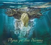 Płynąc po dnie Niemna - Audiobook. Autor: Pawłowski Robert. Dobreksiazki.pl Okładka książki Płynąc po dnie Niemna - Audiobook