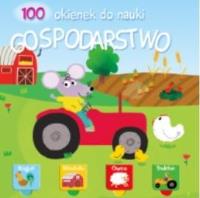 100 okienek. Gospodarstwo. Autor: Praca zbiorowa. Dobreksiazki.pl Okładka książki 100 okienek. Gospodarstwo