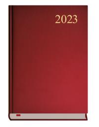 Asystent 2021 MiP bordo. Wydawca: MICHALCZYK I PROKOP. Dobreksiazki.pl Opakowanie Asystent 2021 MiP bordo