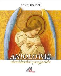 Aniołowie, niewidzialni przyjaciele. Autor: Agnaldo Jose. Dobreksiazki.pl Okładka książki Aniołowie, niewidzialni przyjaciele