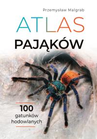 Atlas pająków. Autor: Przemysław Malgrab. Dobreksiazki.pl Okładka książki Atlas pająków