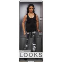 Barbie Looks Ken. Wydawca: Mattel. Dobreksiazki.pl Opakowanie Barbie Looks Ken