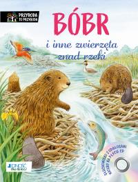 Bóbr i inne zwierzęta znad rzeki. Autor: REICHENSTETTER FRIEDERUN, Hans-Gnther Dring. Dobreksiazki.pl Okładka książki Bóbr i inne zwierzęta znad rzeki