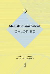 Chłopiec. Autor: Grochowiak Stanisław. Dobreksiazki.pl Okładka książki Chłopiec