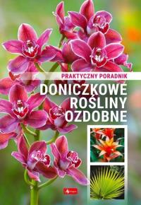 Doniczkowe rośliny ozdobne. Poradnik praktyczny. Autor: Praca zbiorowa. Dobreksiazki.pl Okładka książki Doniczkowe rośliny ozdobne. Poradnik praktyczny