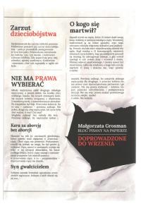 Doprowadzone do wrzenia Blog pisany na papierze. Autor: MAŁGORZATA GROSMAN. Dobreksiazki.pl Okładka książki Doprowadzone do wrzenia Blog pisany na papierze