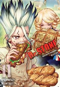 Dr Stone. Tom 11. Autor: Riichiro Inagaki, Boiichi. Dobreksiazki.pl Okładka książki Dr Stone. Tom 11