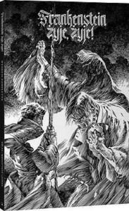 Frankenstein żyje, żyje!. Autor: WRIGHTSON BERNIE. Dobreksiazki.pl Okładka książki Frankenstein żyje, żyje!