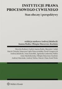Okładka książki Instytucje prawa procesowego cywilnego. Stan obecny i perspektywy