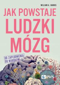 Jak powstaje ludzki mózg Od zapłodnienia do narodzin. Autor: Harris William A.. Dobreksiazki.pl Okładka książki Jak powstaje ludzki mózg Od zapłodnienia do narodzin