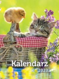 Kalendarz 2023 A6 Zdzierak MIX ARTSEZON. Wydawca: Artsezon. Dobreksiazki.pl Opakowanie Kalendarz 2023 A6 Zdzierak MIX ARTSEZON