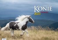 Kalendarz 2023 Albumowy Konie AVANTI. Wydawca: AVANTI. Dobreksiazki.pl Opakowanie Kalendarz 2023 Albumowy Konie AVANTI