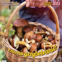 Kalendarz 2023 Albumowy Poradnik Grzybiarza AVANTI. Wydawca: AVANTI. Dobreksiazki.pl Opakowanie Kalendarz 2023 Albumowy Poradnik Grzybiarza AVANTI