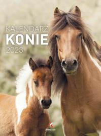 Kalendarz 2023 B4 Konie ARTSEZON. Wydawca: Artsezon. Dobreksiazki.pl Opakowanie Kalendarz 2023 B4 Konie ARTSEZON
