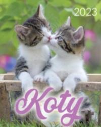 Kalendarz 2023 B4 Koty ARTSEZON. Wydawca: Artsezon. Dobreksiazki.pl Opakowanie Kalendarz 2023 B4 Koty ARTSEZON