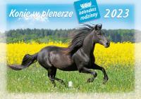 Kalendarz 2023 Rodzinny Konie w plenerze. Wydawca: Lucrum. Dobreksiazki.pl Opakowanie Kalendarz 2023 Rodzinny Konie w plenerze